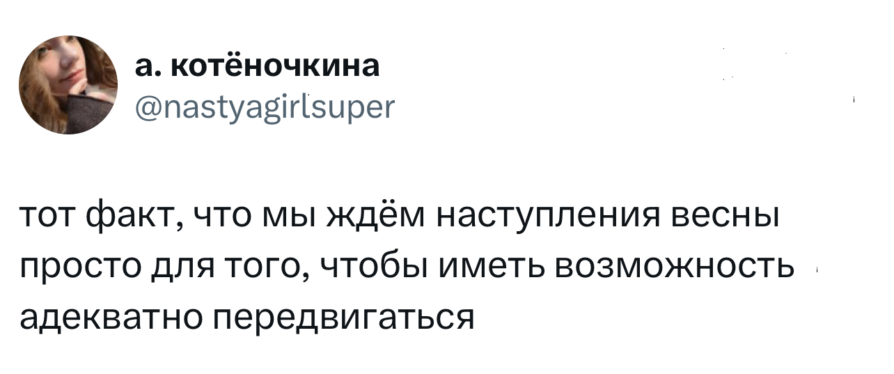 Лучшие шутки недели и «друг познается в углу» format-article,nikon comedy wildlife awards,конкурс,noindex,twitter (твиттер),социальная сеть,В курсе,Развлечения