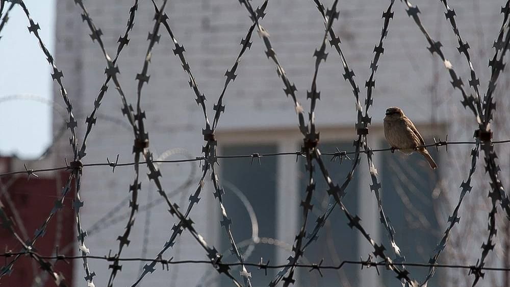 Депутаты Госдумы хотят ужесточить наказание за госизмену до пожизненного срока