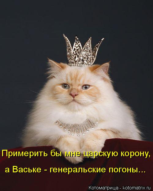 Котоматрица: Примерить бы мне царскую корону, а Ваське - генеральские погоны...