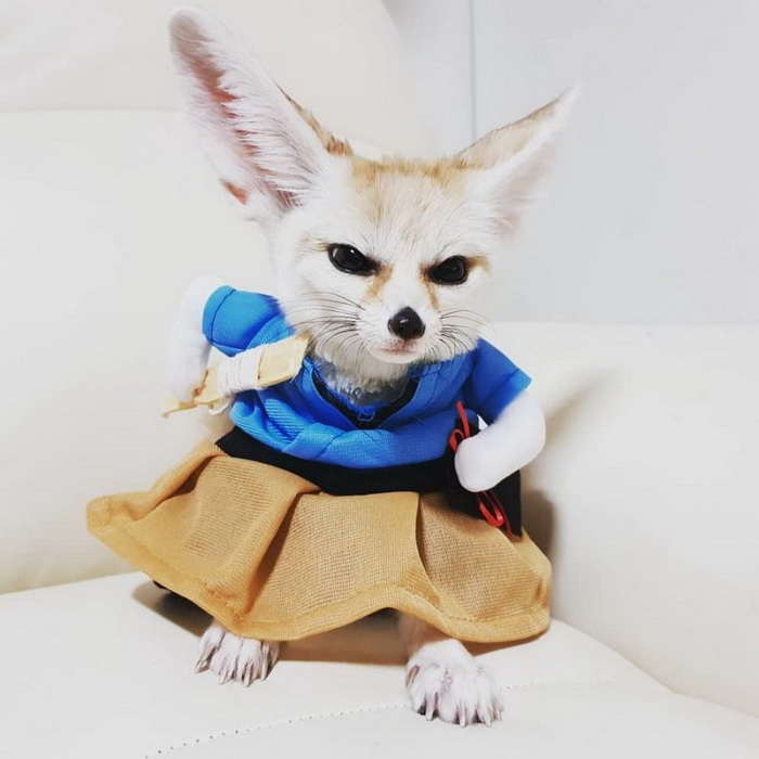 Фотоподборка субботы за всю неделю 