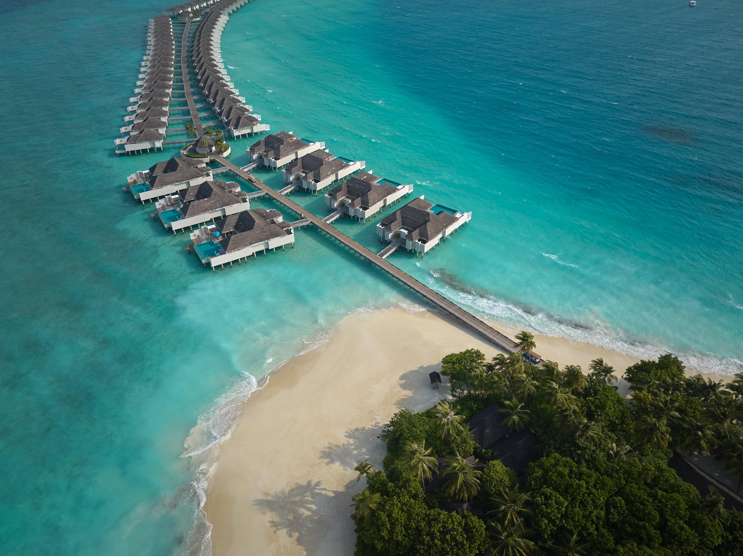 Женский уикенд и дегустации на берегу океана: чем заняться в отпуске в марте 2026 можно, здесь, поесть, делать, посмотреть, марта, чтобы, стоит, устроить, вечер, Главное, курорте, «Поле», только, ресторане, событие, хочется, Васта, превращается, Можно