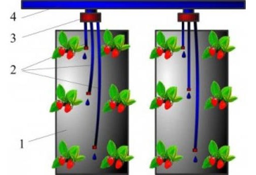 Схема капельного полива клубники в мешках
