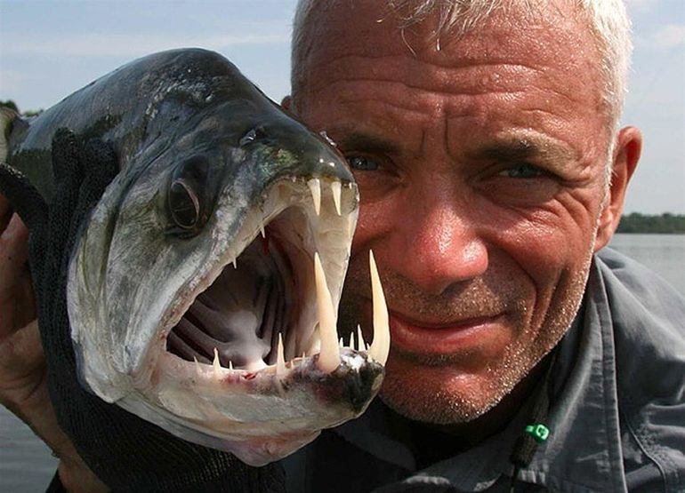 20 самых поразительных речных монстров