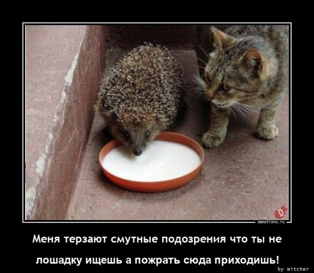 Прикольный сборник демотиваторов Прикольный сборник демотиваторов