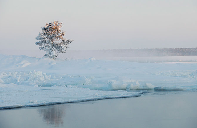 Полярный круг – царство снега и льда Полярный круг – царство снега и льда