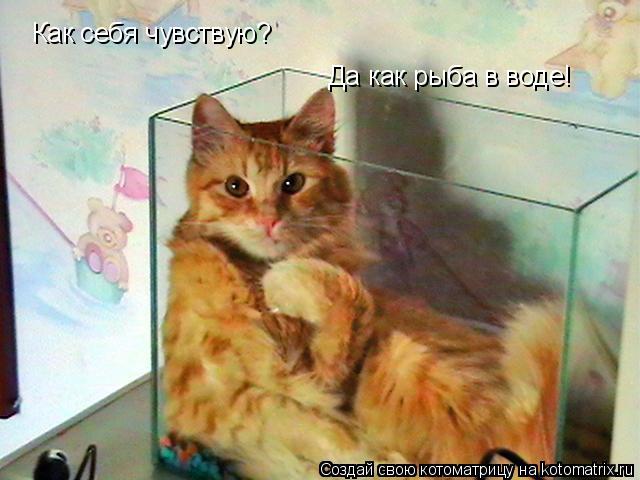 Мысли вслух :)