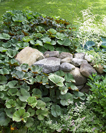 wild-garden-inspiration-naturalness5.jpg wild-garden-inspiration-naturalness5.jpg