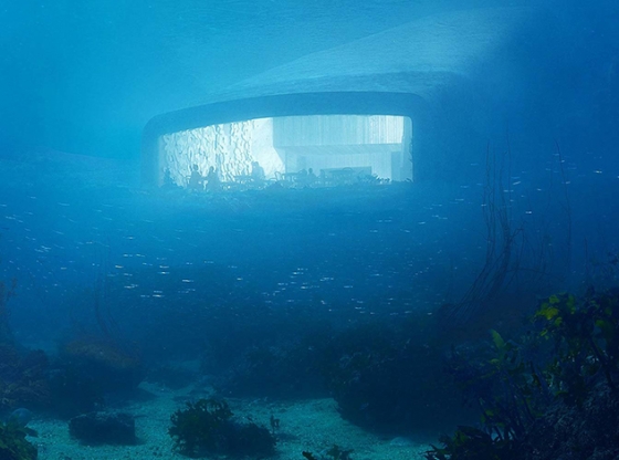 Отдых под водой: 4 подводных отеля для любителей подводной фауны