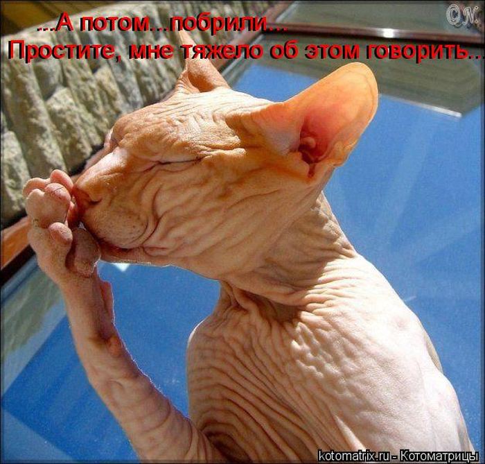 Мысли вслух :)