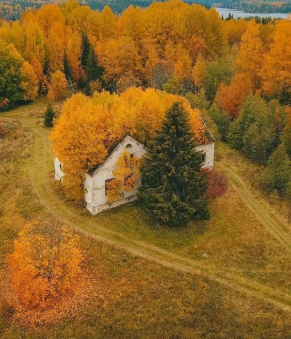 Заброшенный дом, захваченный природой