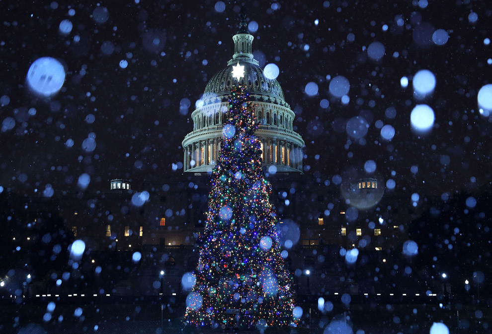 Новогодний мир 2019 декабря, Новогодние, Германия, Новогодний, Токио, Vadim, Таймссквер, НьюЙорке, СантаКлауса, СантаКлаус, Ghirda, Берлине, Новогоднее, дерево, Нового, национального, Велюве, Оттерло, Нидерланды, Piroschka