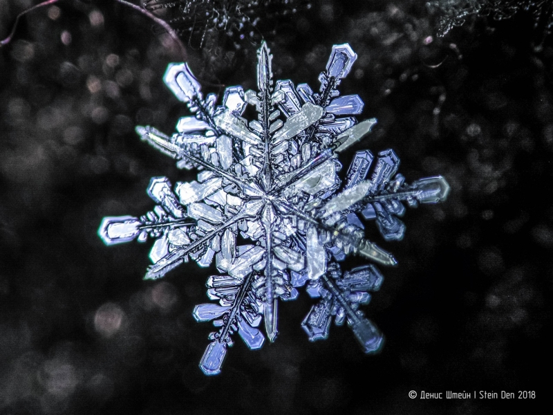 Калининградский фотограф поделился секретами макросъемки на примере снежинок