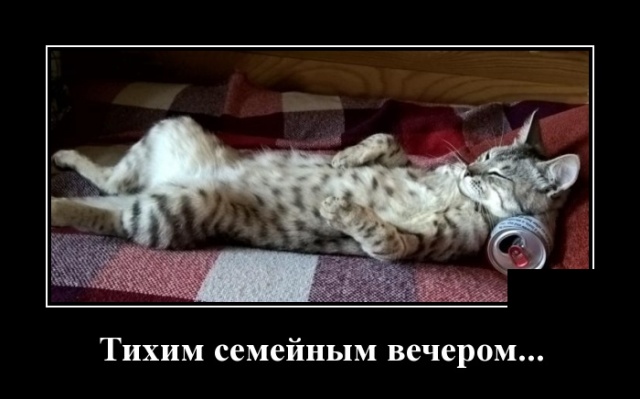 Если человеку создать тепличные условия, из него может вырасти овощ