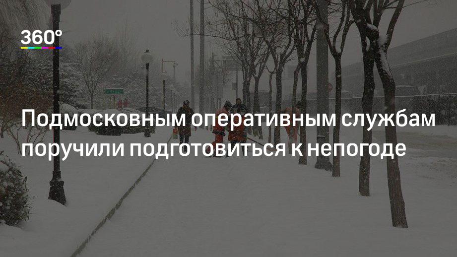 Подмосковным оперативным службам поручили подготовиться к непогоде