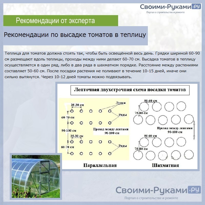 Двухстрочная схема посадки томатов