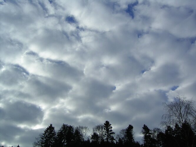 Слоисто-кучевые облака появляются в пасмурную погоду, но не закрывают небо полностью и не вызывают сильный дождь