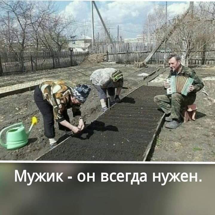 Самый реальный вред от курения - это когда ты выходишь покурить... другой, Крестьянка, Профессор, сказать, можно, расположение, когда, одной, Студент, Петька, татуировок, женщина, посудомойка, мужчина, банкоматСледователь, Приходит, допрашивает, мужика, который, целиком