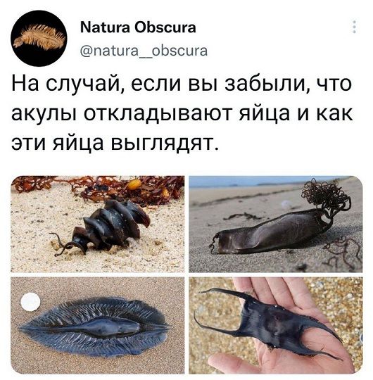 Подборка  шуток 