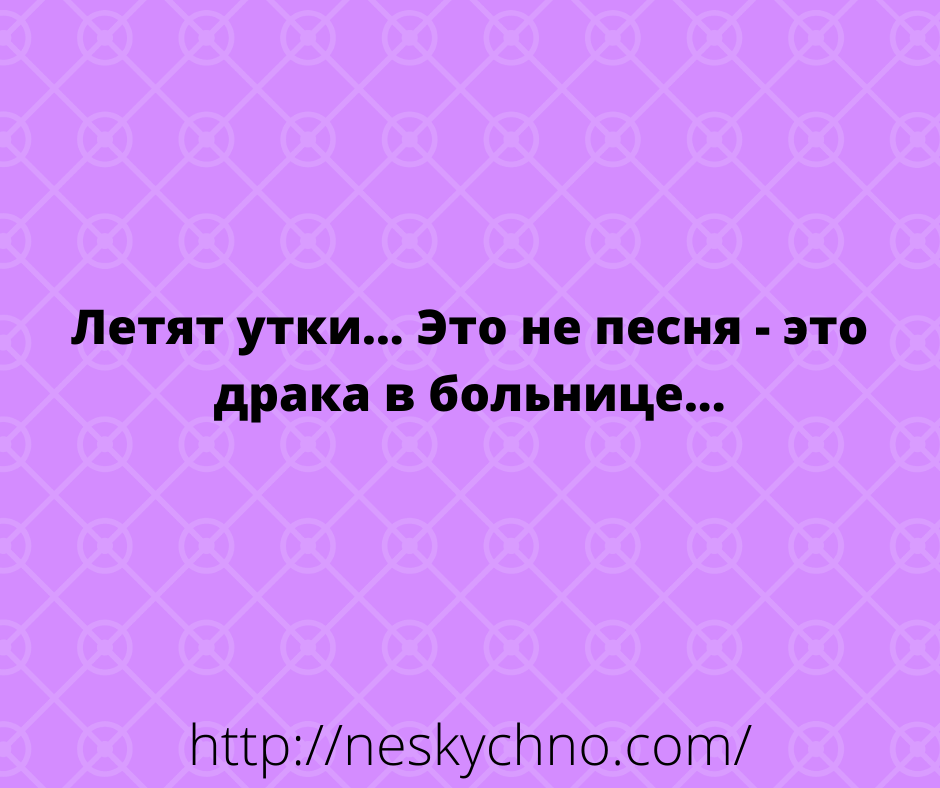 Свежая подборка шуток и анекдотов Свежая подборка шуток и анекдотов