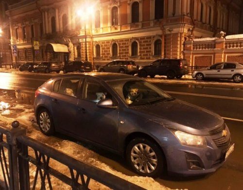 В России не соскучишься 