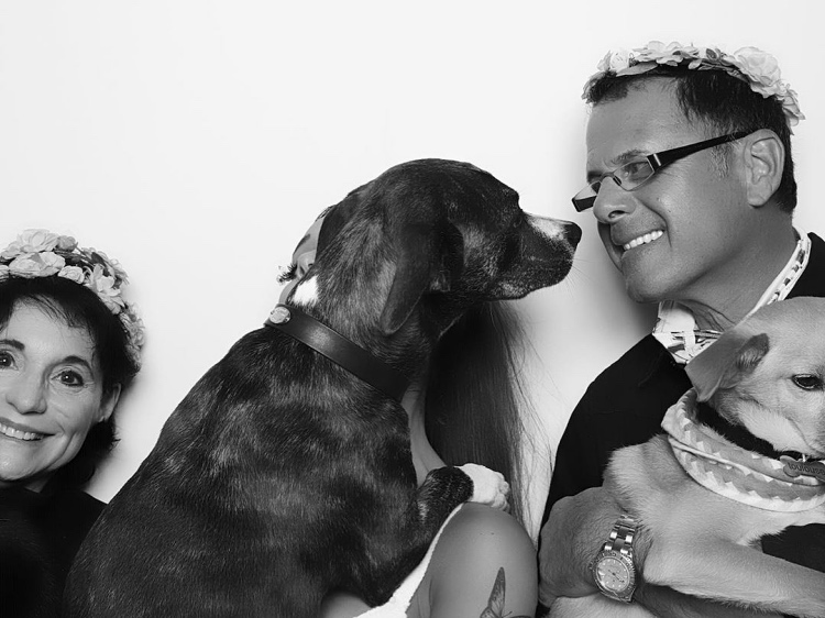 Ариана Гранде отметила день рождения в стиле хоррора "Солнцестояние" Звезды,Новости о звездах