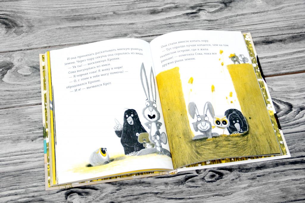 Отрывок из книги «Кролик и Мишка. Неожиданное нападение»