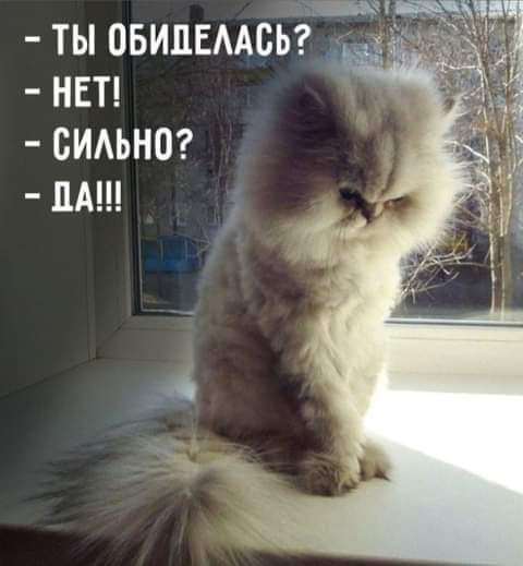 Долгожданный юмор: уморительная подборка Долгожданный юмор: уморительная подборка