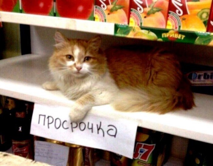 20 самых заманчивых акций, скидок и объявлений, мимо которых лучше пройти 20 самых заманчивых акций, скидок и объявлений, мимо которых лучше пройти