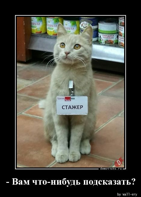 Демотиваторы – картинки: «Здорово, бро!» Демотиваторы – картинки: «Здорово, бро!»