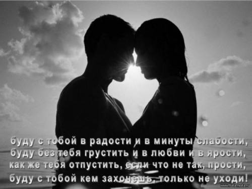Кошки открытки, не уходи останься картинки прикольные
