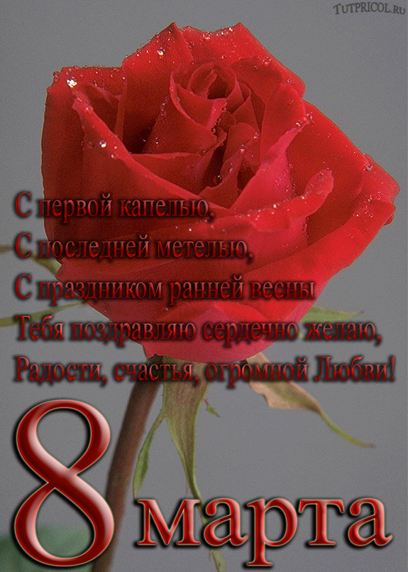 Сиф днем, христианские открытки поздравления с 8 марта
