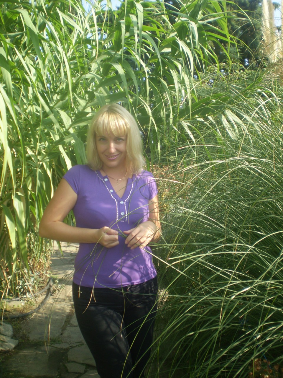 ������� ������ ��������� - 14