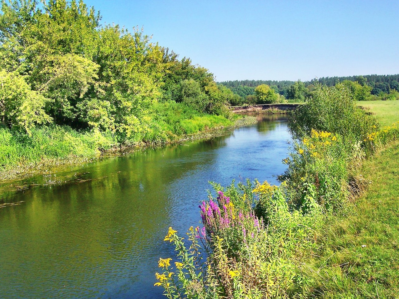 Сады на реке какой реке. Река Горинь. Река Горынь Украина. Горынь (река). Малые реки.