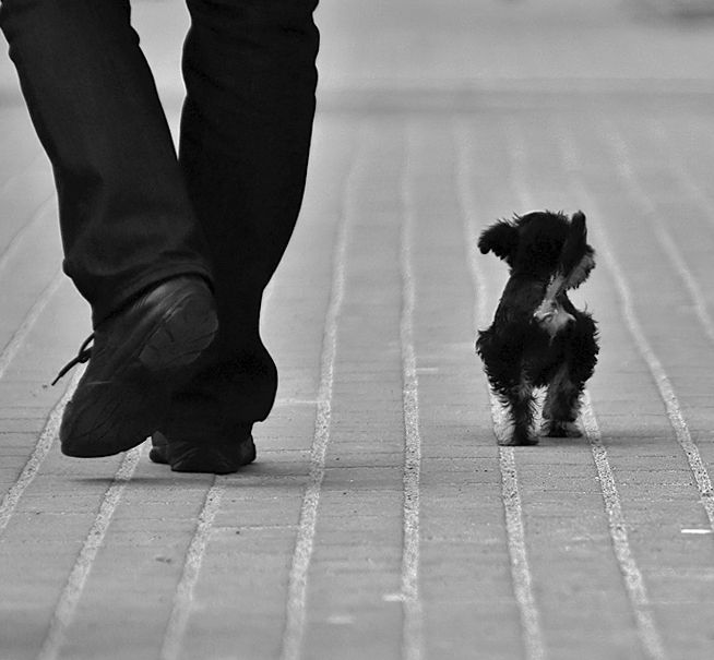 �������� �������� � ��������� ��� ������, �����