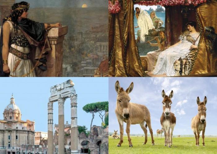 Неожиданно: малоизвестные исторические факты о Клеопатре Неожиданно: малоизвестные исторические факты о Клеопатре доказательства