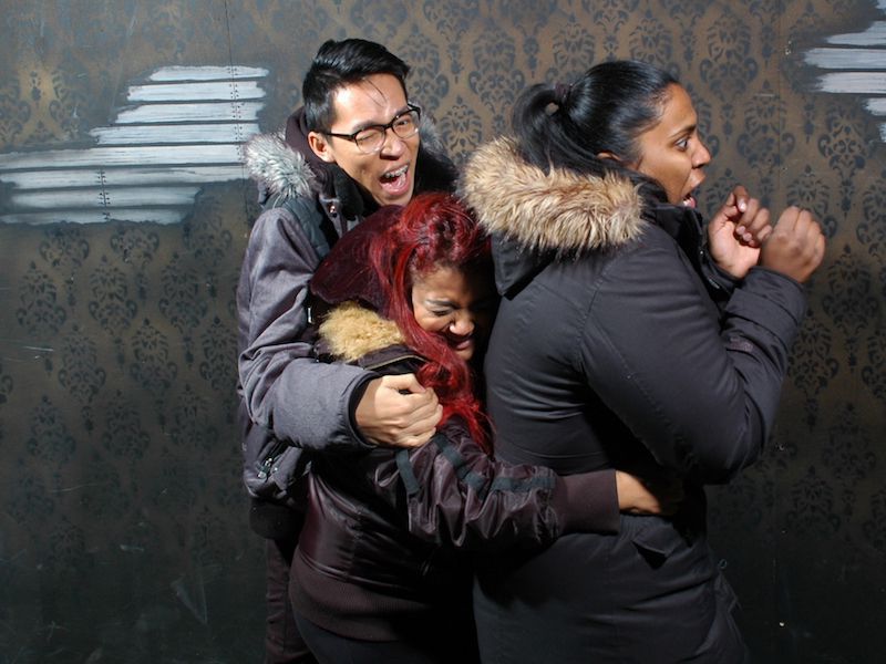 Страшно смешно: 25 эмоциональных фото из комнаты ужасов 