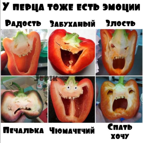 Шутки для отличного настроения 