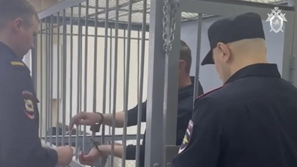 Арестован натравивший ротвейлера на ребенка житель Иркутской области