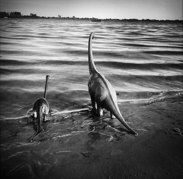 фото из путешествия с динозаврами 