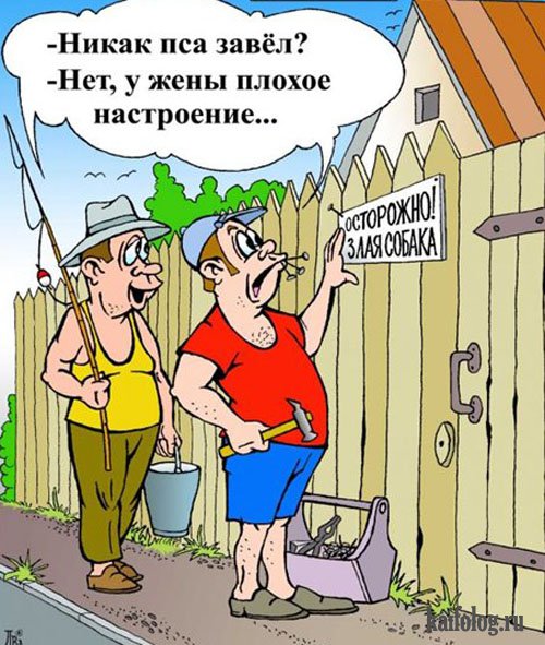 Прикольные картинки на тему мужа и жены, надписям коля