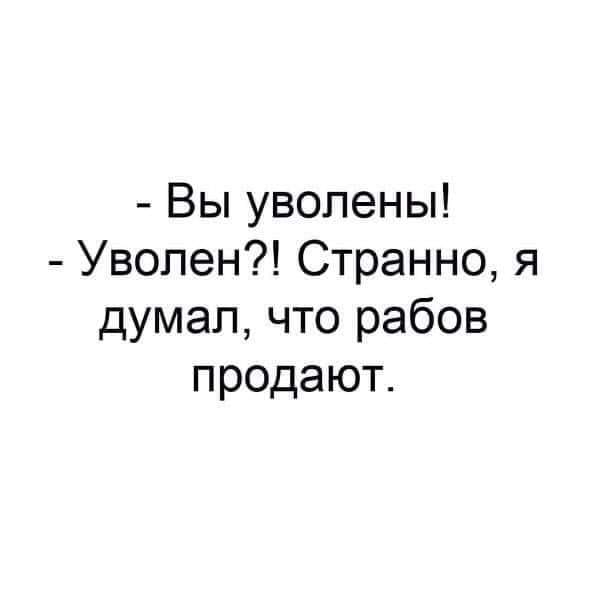 Возможно, это изображение (один или несколько человек и текст «-вы уволены! -уволен?! странно, я думал, что рабов продают.»)