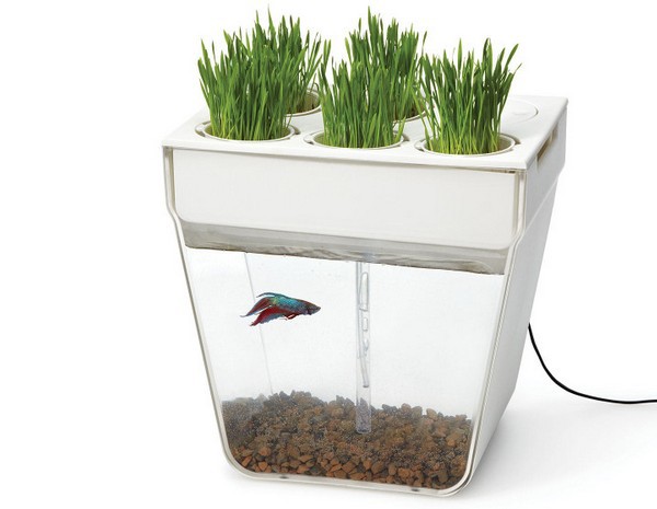 Aquafarm от Back To The Roots Aquafarm от Back To The Roots