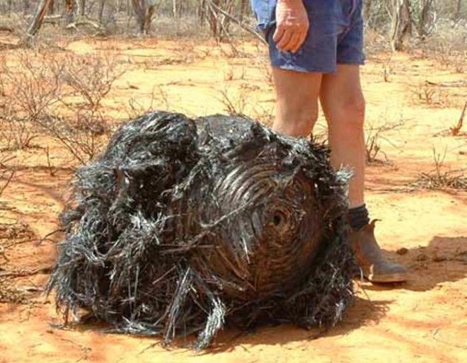 Останки космического корабля. Останки космического корабля