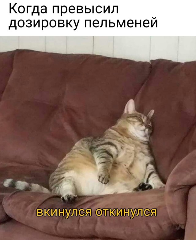 Подборка смешных картинок Подборка смешных картинок приколы,смешные картинки,юмор