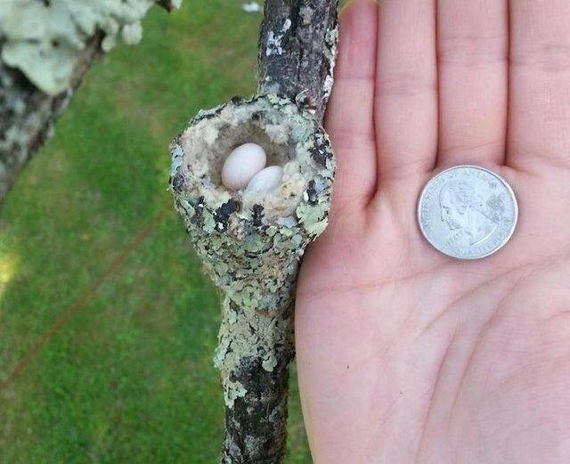 Забавные картинки в ассортименте Забавные картинки в ассортименте