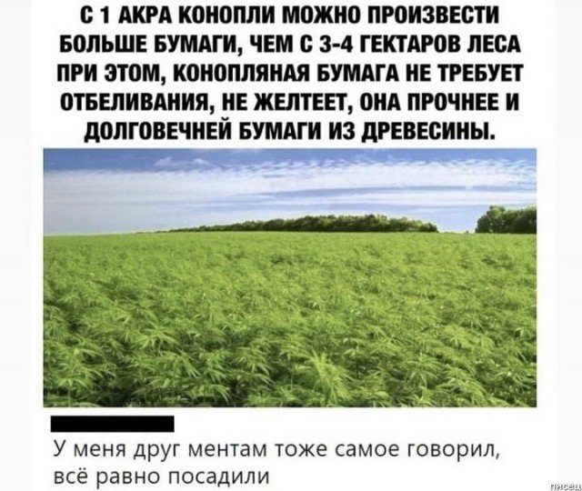 100% ржака из социальных сетей. Феерический сборник! 100% ржака из социальных сетей. Феерический сборник! позитив,смешные картинки,юмор