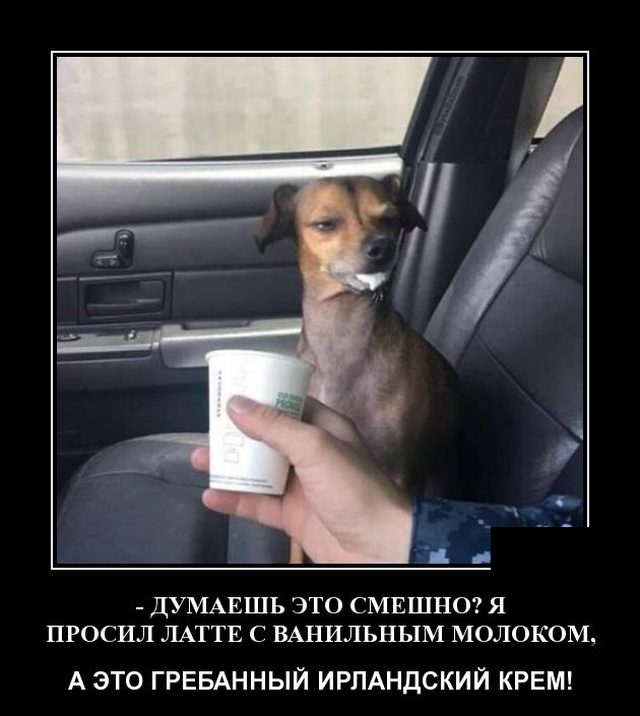 Прикольные демотиваторы в ассортименте 