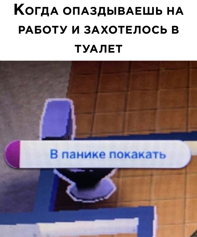 Подборка картинок. Вечерний выпуск Подборка картинок. Вечерний выпуск приколы,смешные картинки,юмор