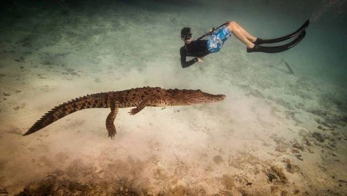 Подборка картинок. Дневной выпуск (53 фото)