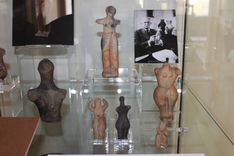 Древние культуры нашей страны: Куйбышевская экспедиция против буржуазных фальсификаторов Древние культуры нашей страны: Куйбышевская экспедиция против буржуазных фальсификаторов история